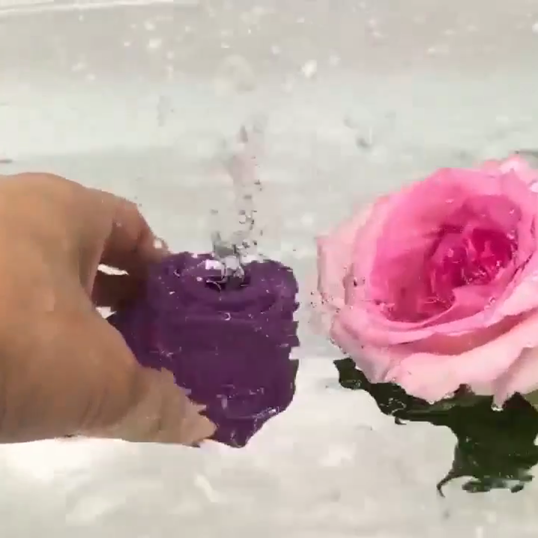 A Night with the Rose: My Honest Experience with the Sucking & Vibrating Toy
